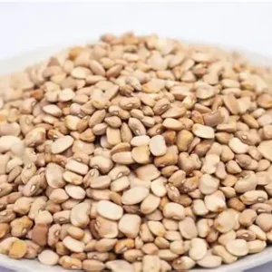 Brown Beans (Haricot Drum)