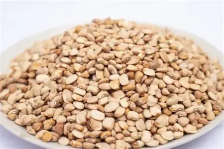 Brown Beans (Haricot Drum)