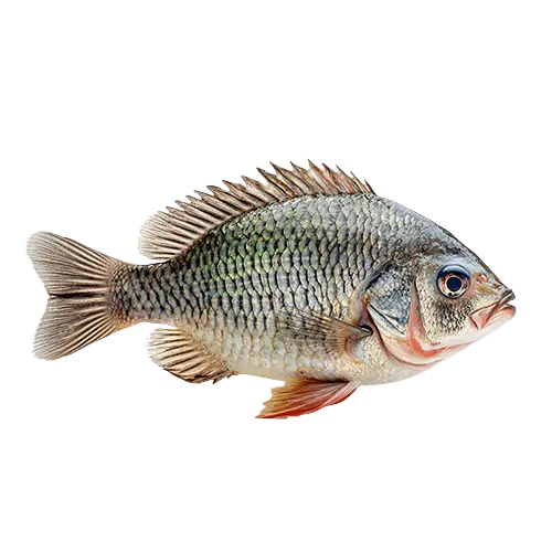 Treaser Fish Fish - Treasure African Market
