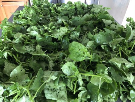 Njama Njama (Huckleberry)