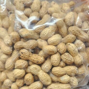 Raw Groundnut