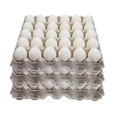 Large Eggs
