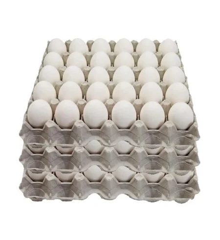 Large Eggs